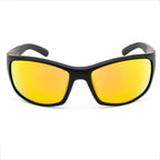 Black Plastic Sunglasses