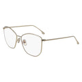 Gold Metal Glasses (Frames)