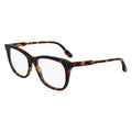 Brown Acetate Glasses (Frames)