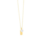 Gold Silver Necklace