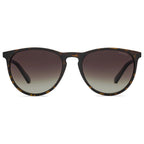 Brown Plastic Sunglasses