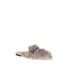Gray Lamb Ovis Aries Aries Mules