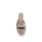 Gray Lamb Ovis Aries Aries Mules
