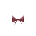 Bordeaux-Polyamid-Bikini