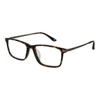 Brown Titanium Glasses (Frames)