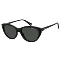 Black Plastic Sunglasses