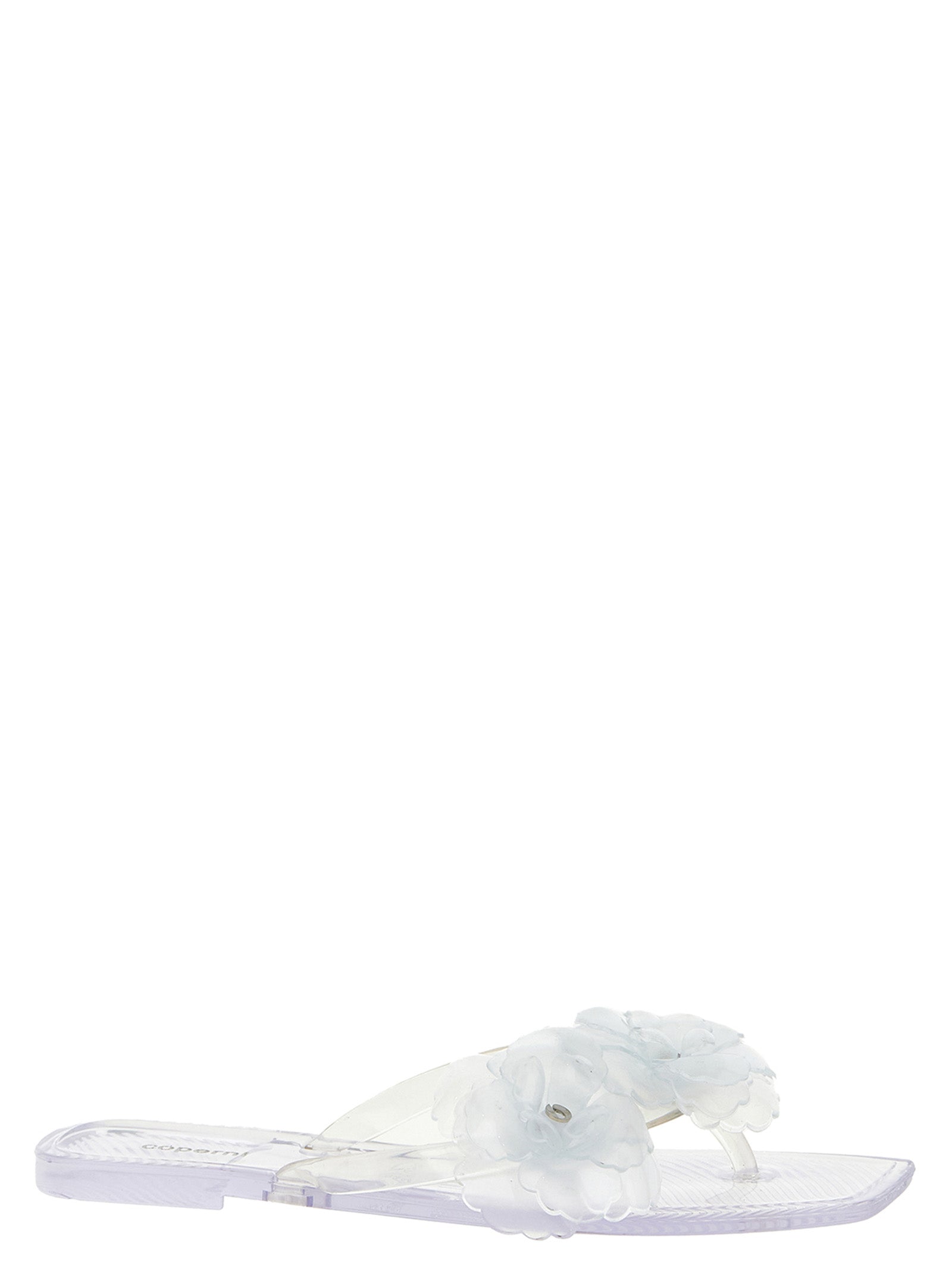 PVC Transparent Slides