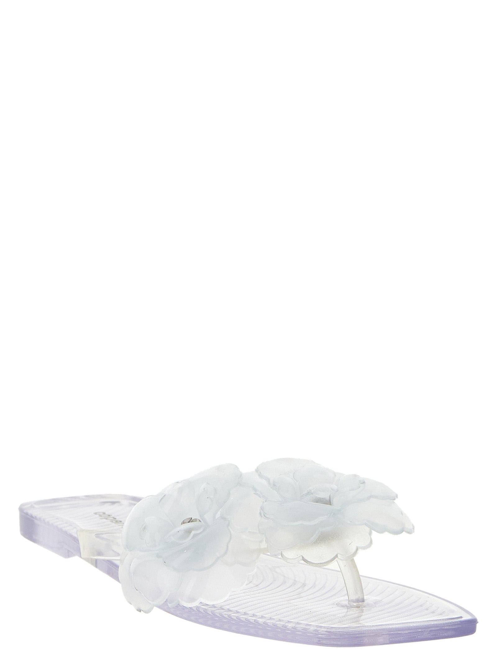 PVC Transparent Slides