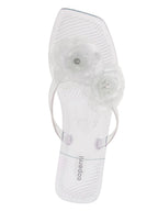 PVC Transparent Slides