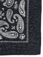 Polo Ralph Lauren Blue Cotton Foulard