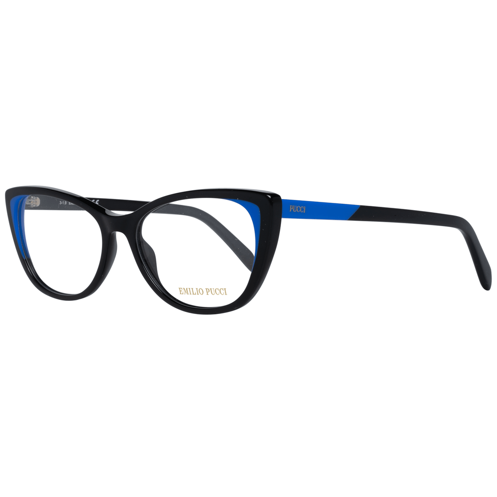 Schwarze Kunststoffbrille (Fassungen)