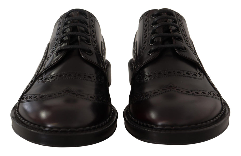 Violette Oxford-Wingtip-Schuhe aus Leder