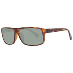 Brown Plastic Sunglasses
