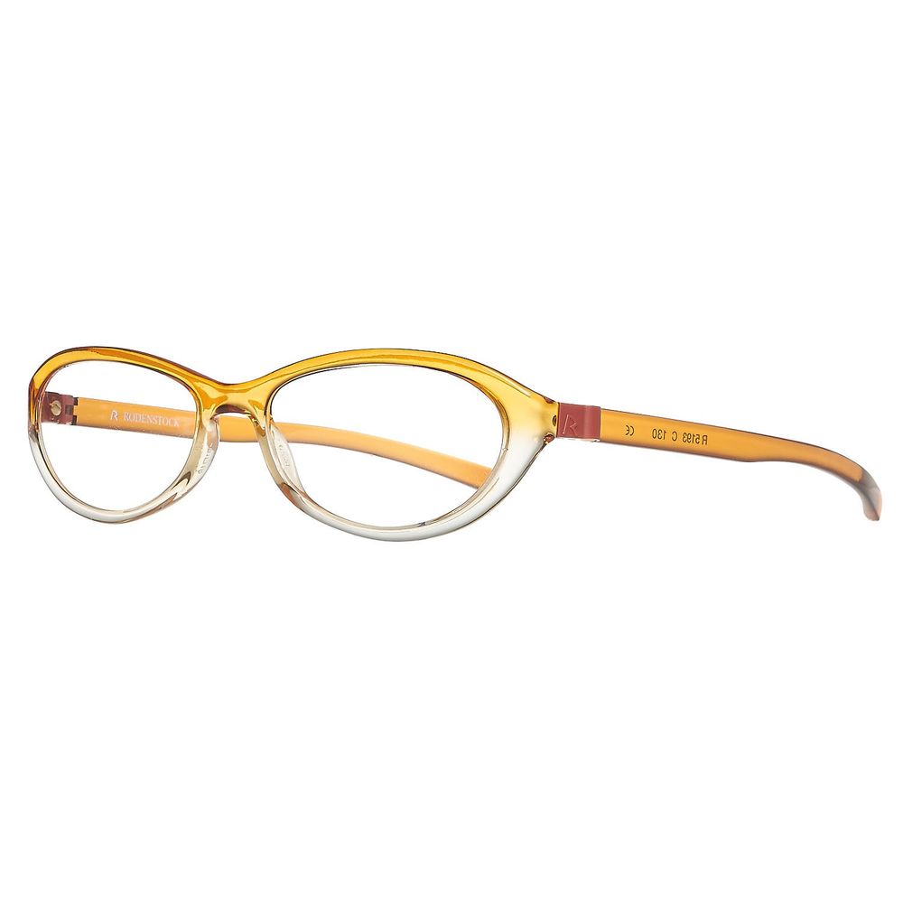 Orange Plastic Glasses (Frames)