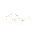 Gray Metal Glasses (Frames)