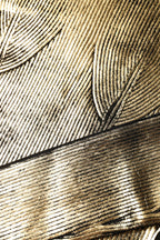 Maglia a maniche lunghe girocollo oro