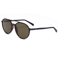 Braune Acetat-Sonnenbrille