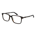 Braune Kunststoffbrille (Fassungen)