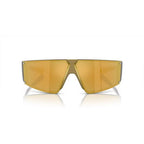 Gold Resin Sunglasses