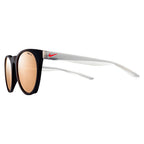 Schwarz injizierte Sonnenbrille